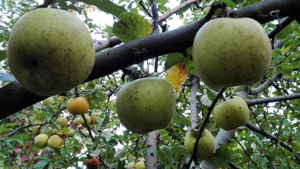 вилна зона Златни пясъци, спирка Ален мак Варна Экстерьер фото